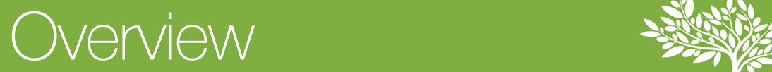 Overview